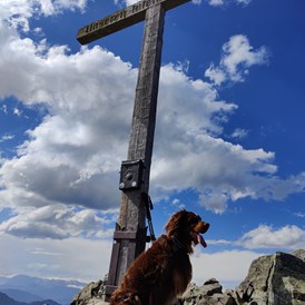 Urlaub-mit-Hund: Seekarspitze - Hotel Binggl Obertauern