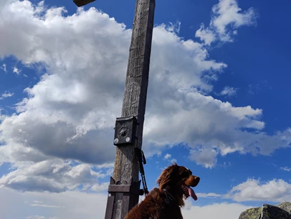 Hundehotel - Tauplitz - Seekarspitze - Hotel Binggl Obertauern