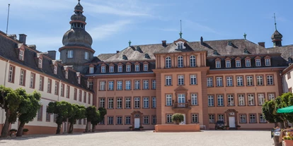 Hundehotel - Ladestation Elektroauto - Sauerland - Schloss Bad Berleburg - Hotel Alte Schule