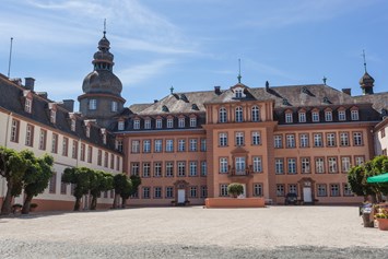 Urlaub-mit-Hund: Schloss Bad Berleburg - Hotel Alte Schule