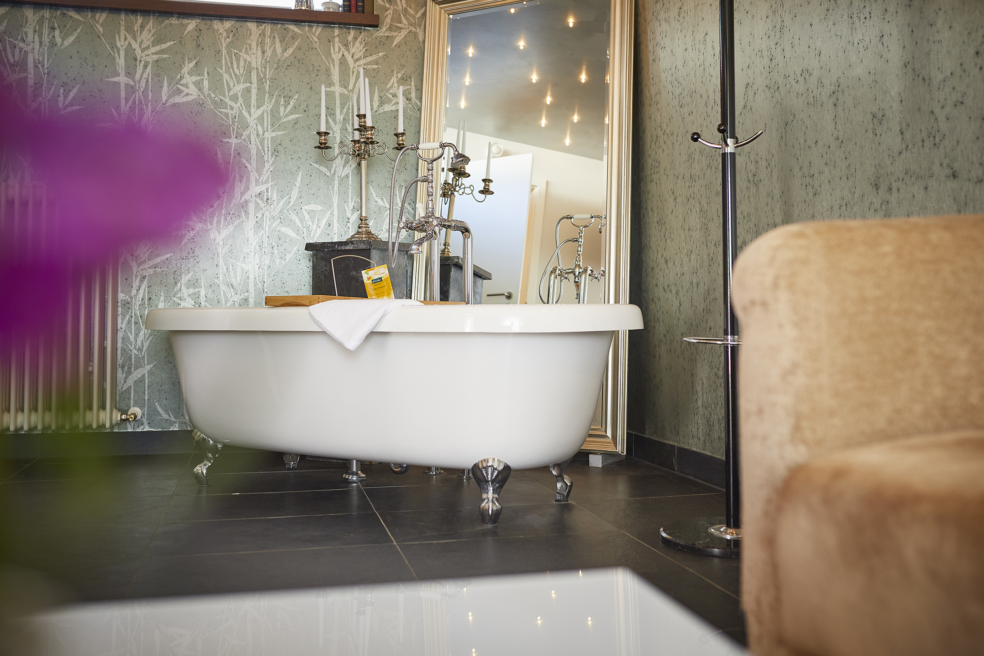 Urlaub-mit-Hund: Hotel Alte Schule