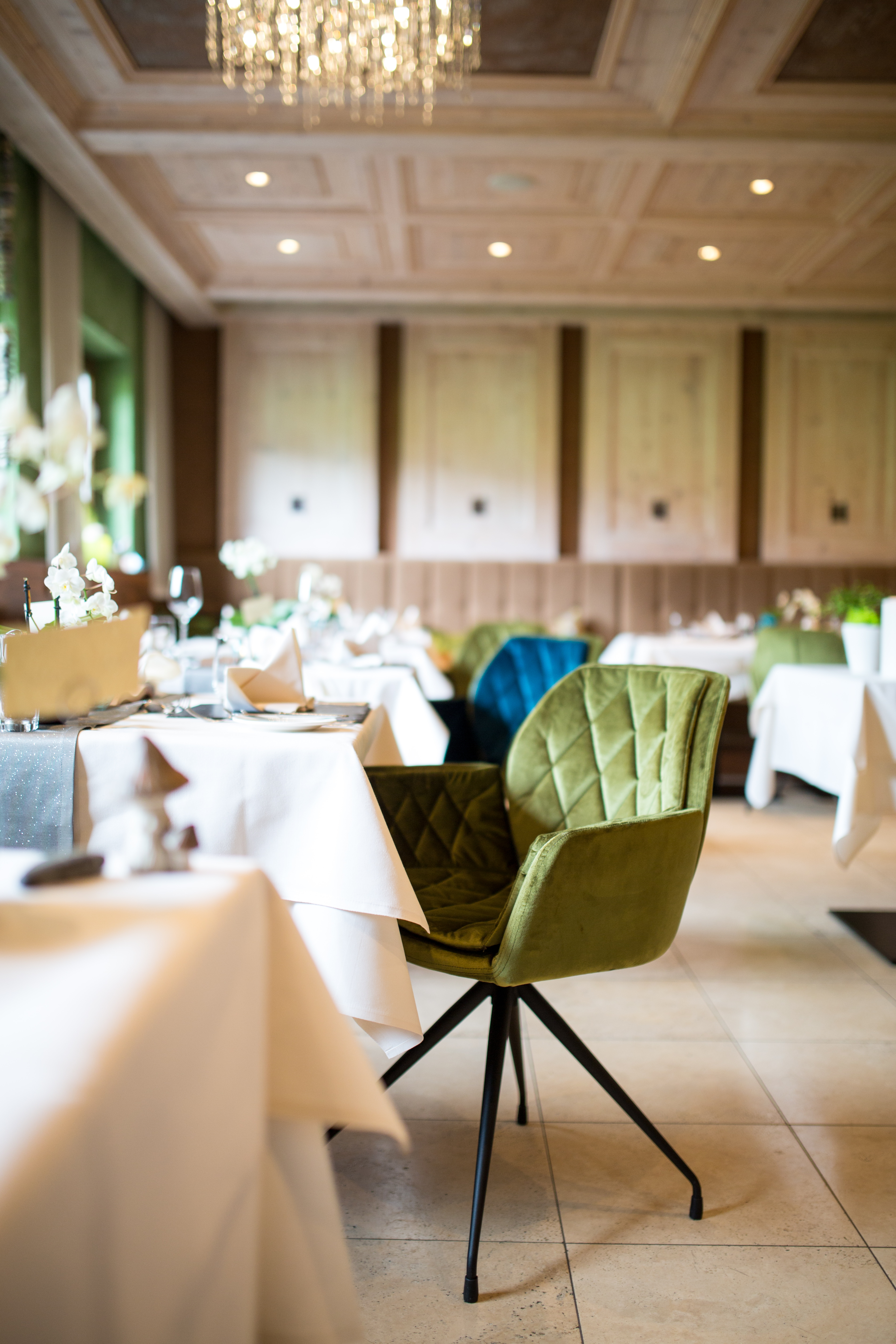 Urlaub-mit-Hund: Hotel Andreus