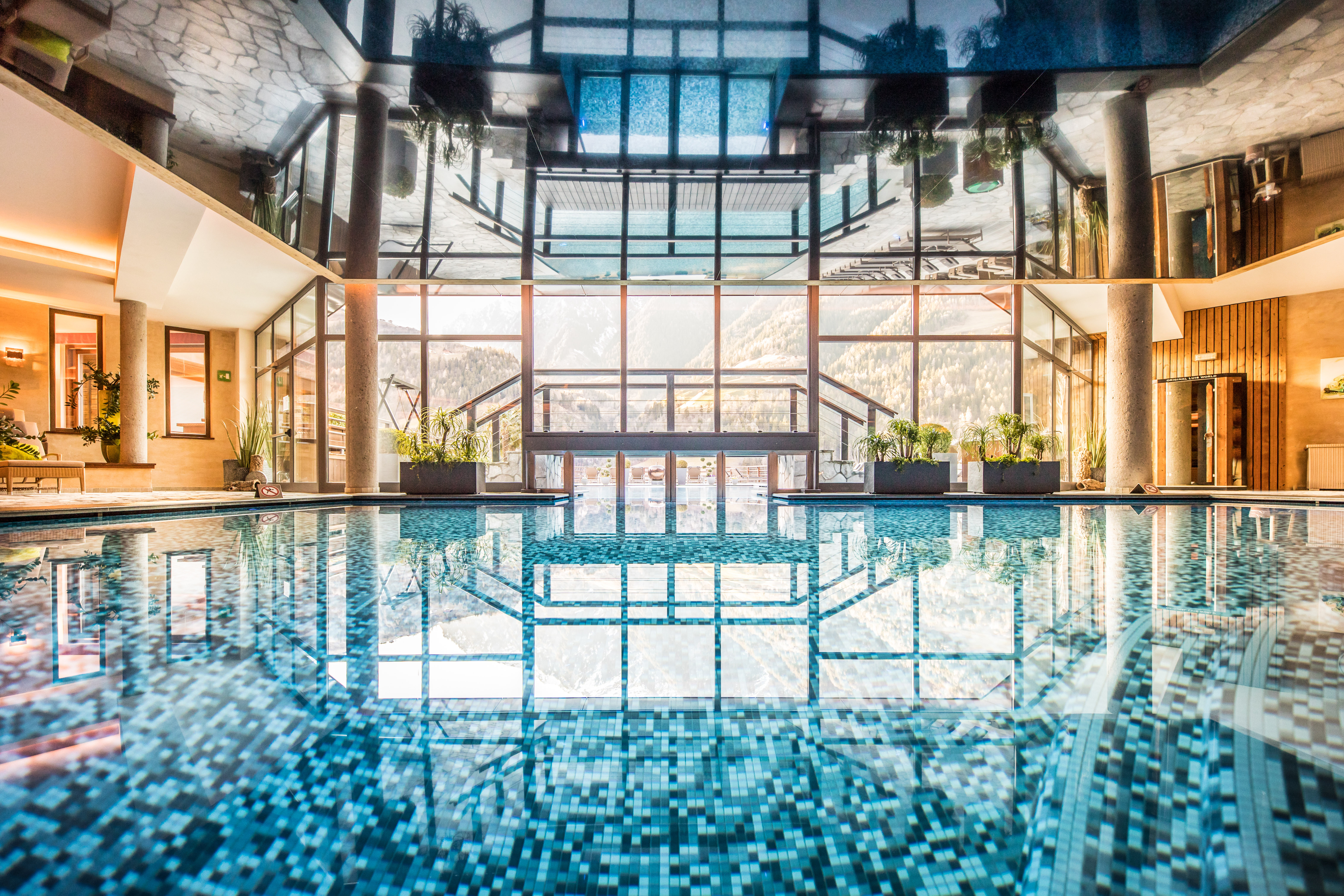 Urlaub-mit-Hund: Hotel Andreus