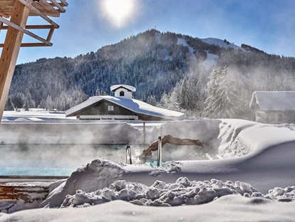 Hundehotel - Pools: Schwimmteich - HUBERTUS MOUNTAIN REFUGIO ALLGÄU