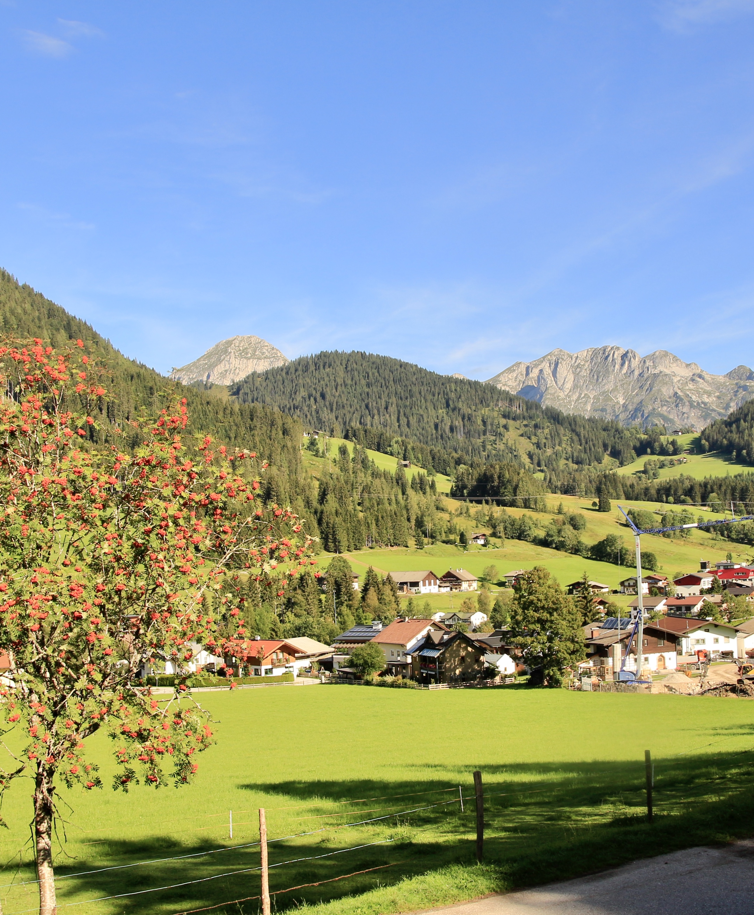 Hundehotel - Verpflegung: Frühstück - Altaussee - Boutique Hotel Alpenhof Sankt Martin am Tennengebirge