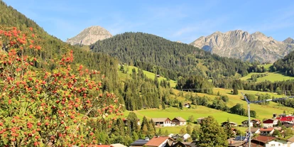 Hundehotel - Tauplitz - Boutique Hotel Alpenhof Sankt Martin am Tennengebirge