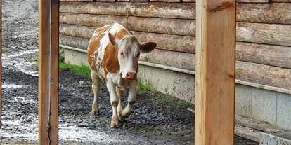 Hundehotel - Tauplitz - Boutique Hotel Alpenhof Sankt Martin am Tennengebirge