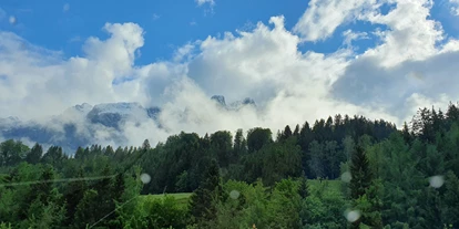 Hundehotel - Tauplitz - Boutique Hotel Alpenhof Sankt Martin am Tennengebirge