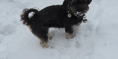 Hundehotel - Tauplitz - Boutique Hotel Alpenhof Sankt Martin am Tennengebirge