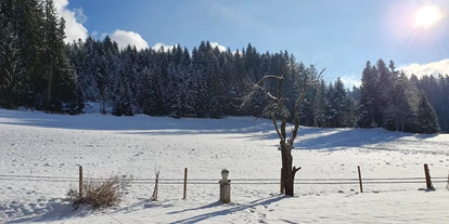 Hundehotel - Tauplitz - Boutique Hotel Alpenhof Sankt Martin am Tennengebirge