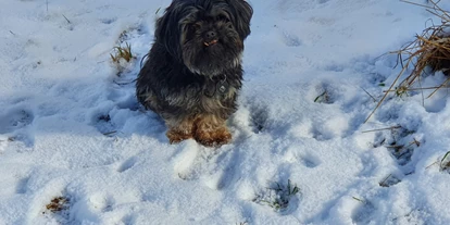 Hundehotel - Tauplitz - Boutique Hotel Alpenhof Sankt Martin am Tennengebirge