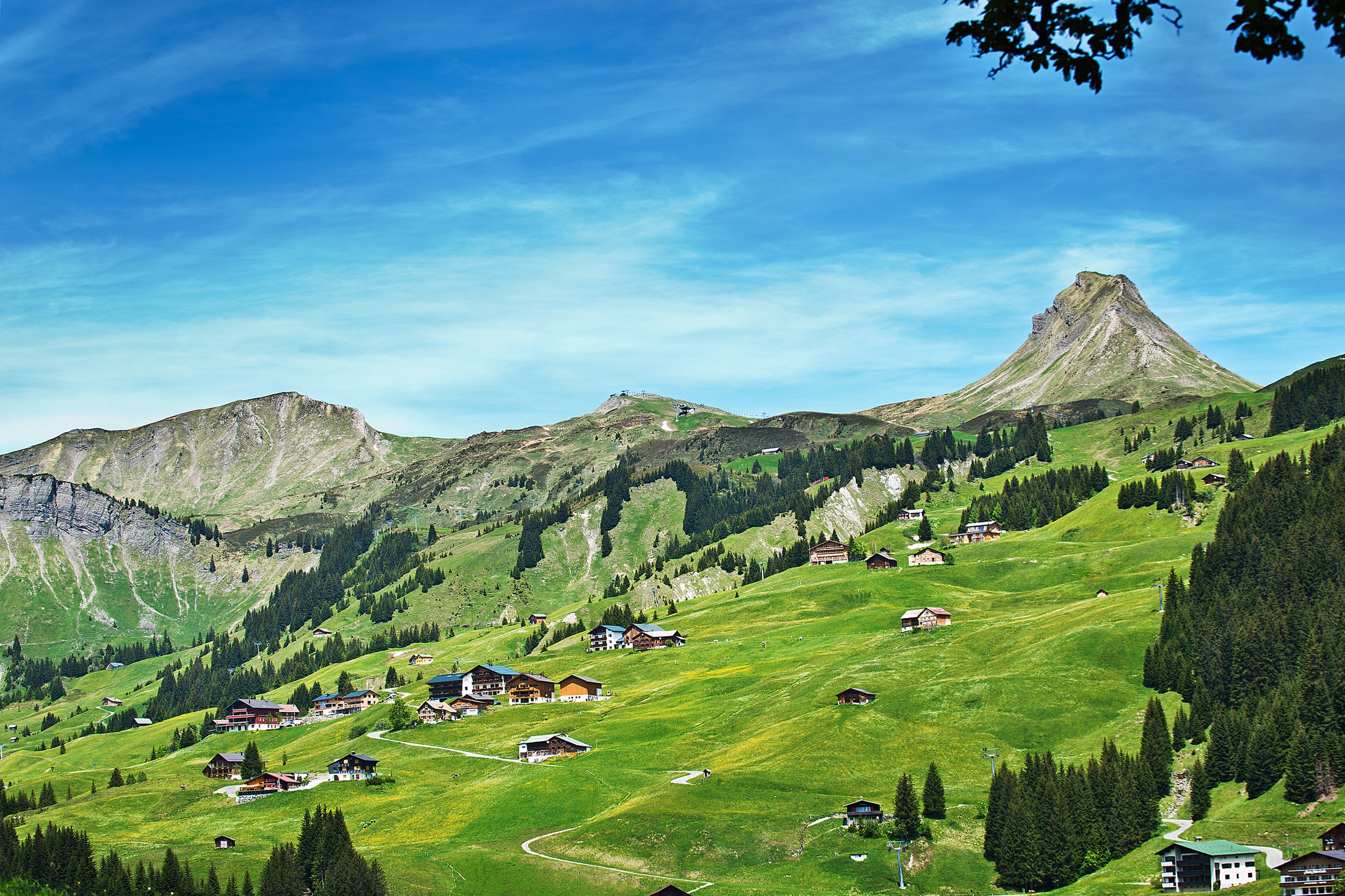 Hundehotel - Vorarlberg - Damülser Holzhus