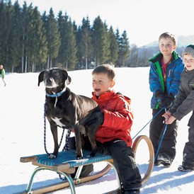 Urlaub-mit-Hund: Urlaub mit Hund - Feriendorf Holzleb'n