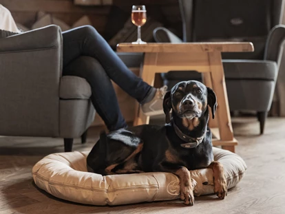 Hundehotel - WLAN - Berchtesgaden - Hunde im Feriendorf Holzleb´n - Feriendorf Holzleb'n