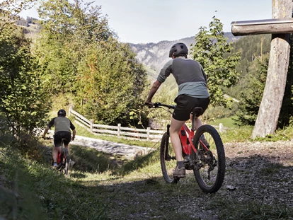 Hundehotel - WLAN - Berchtesgaden - Biken im Großarltal  - Feriendorf Holzleb'n