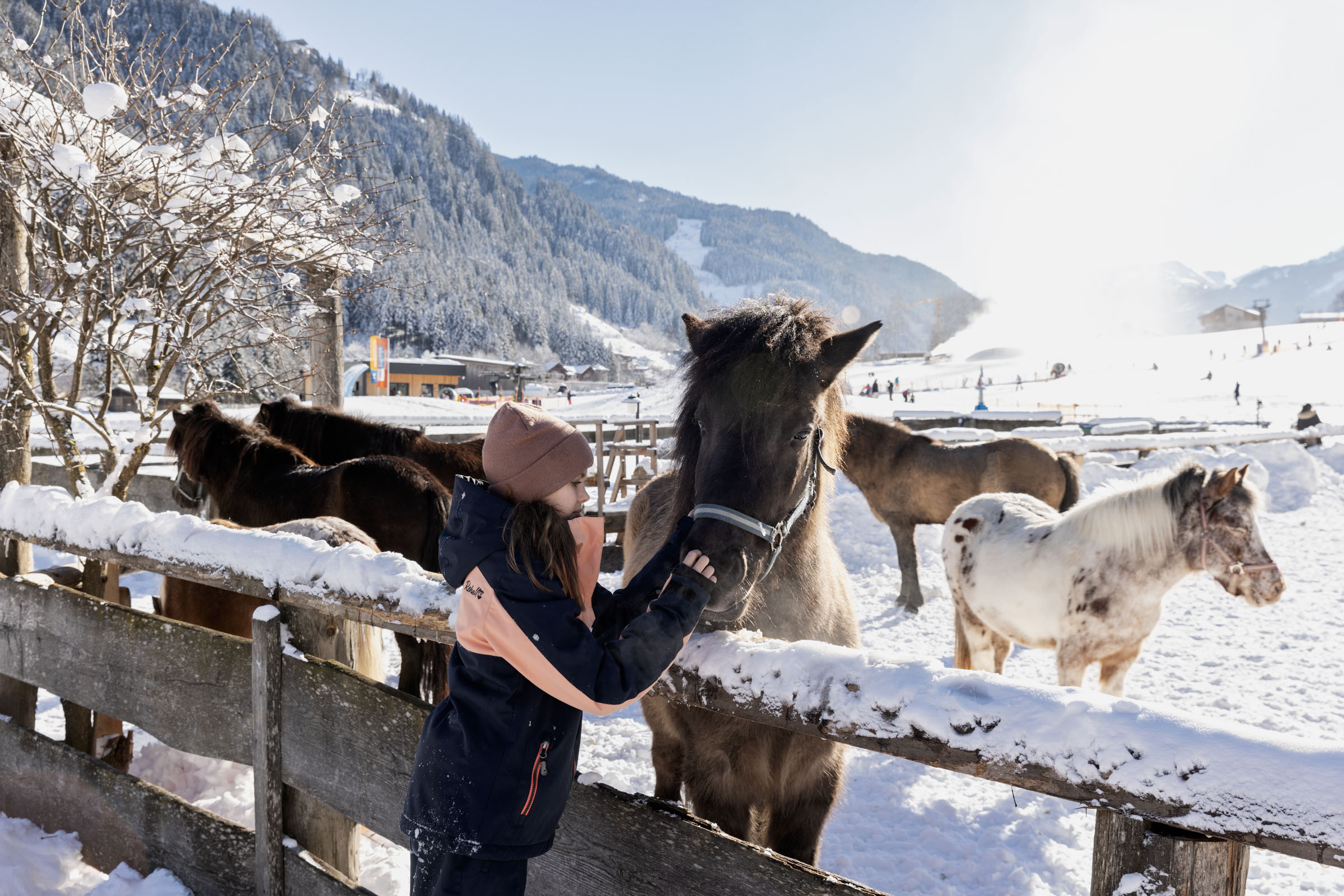 Urlaub-mit-Hund: Pferde im Feriendorf Holzleb´n - Feriendorf Holzleb'n