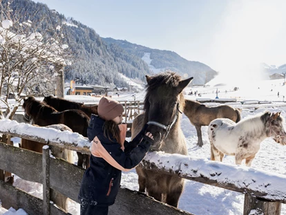 Hundehotel - WLAN - Berchtesgaden - Pferde im Feriendorf Holzleb´n - Feriendorf Holzleb'n