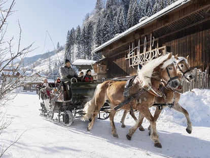 Hundehotel - WLAN - Berchtesgaden - Pferdekutschenfahrt - Feriendorf Holzleb'n