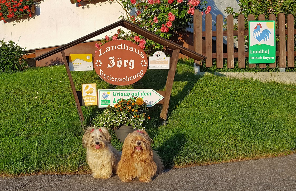 Landhaus Jörg Hotel für den Urlaub mit Hund in Rettenberg