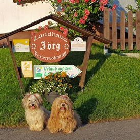 Urlaub-mit-Hund: Ferienwohnung mit Hund im Allgäu
 - Landhaus Jörg