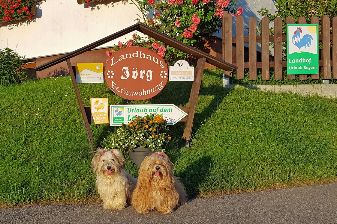 Urlaub-mit-Hund: Ferienwohnung mit Hund im Allgäu
 - Landhaus Jörg