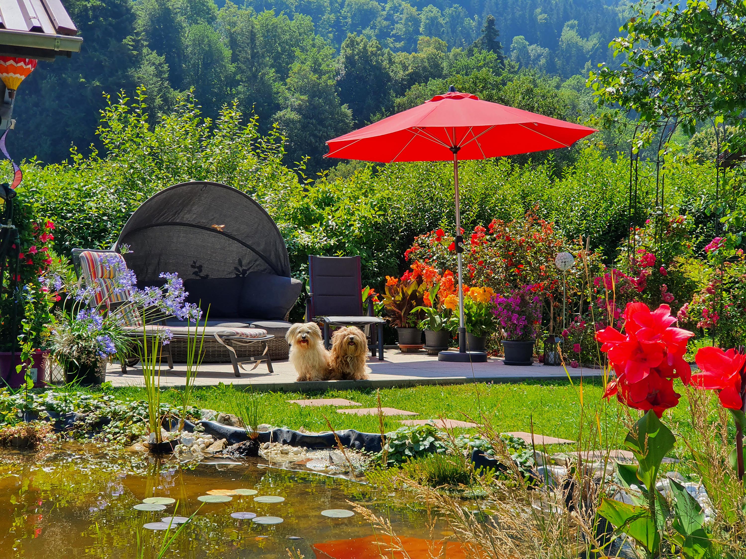 Urlaub-mit-Hund: Allgäu Urlaub mit Hund
 - Landhaus Jörg