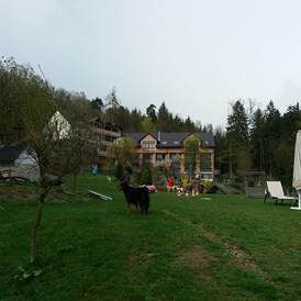 Urlaub-mit-Hund: Aussenansicht - Natur-Hunde-Hotel Bergfried