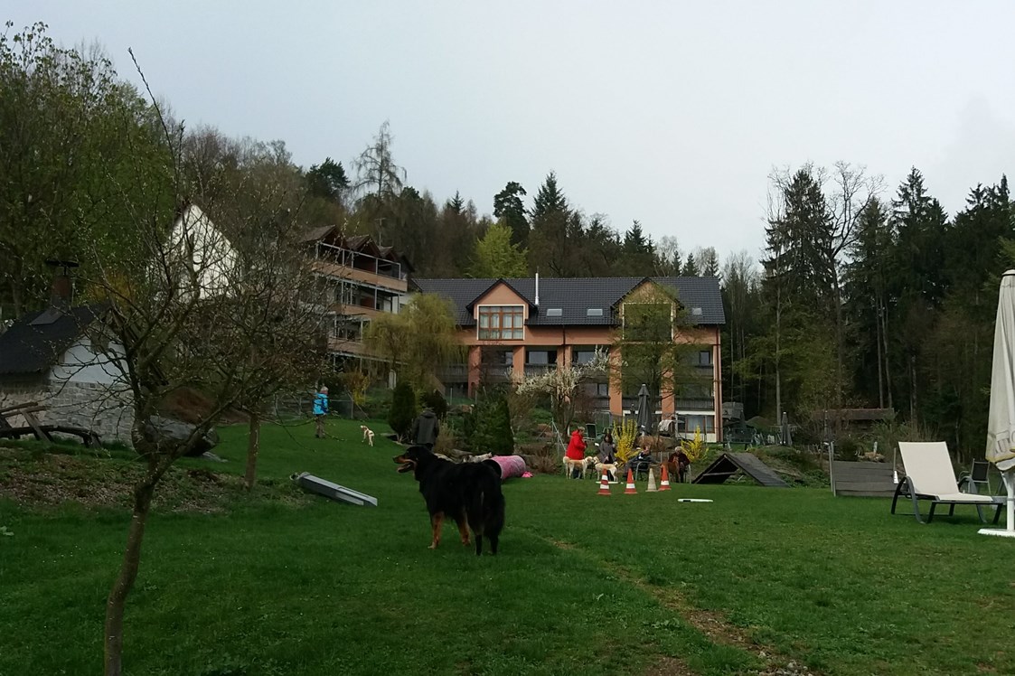 Urlaub-mit-Hund: Aussenansicht - Natur-Hunde-Hotel Bergfried