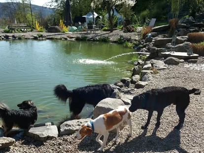 Hundehotel - Pools: Schwimmteich - Hundepark - Natur-Hunde-Hotel Bergfried