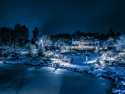 Hundehotel - Pools: Schwimmteich - Winter im Bergfried - Natur-Hunde-Hotel Bergfried