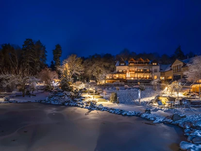 Hundehotel - Pools: Schwimmteich - Winter im Bergfried - Natur-Hunde-Hotel Bergfried