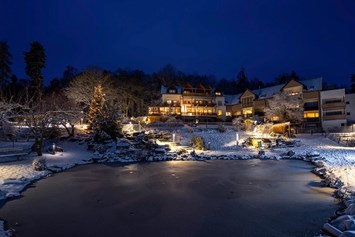 Urlaub-mit-Hund: Winter im Bergfried - Natur-Hunde-Hotel Bergfried