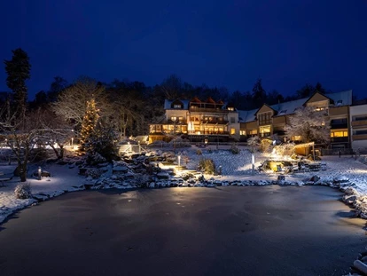 Hundehotel - Pools: Schwimmteich - Winter im Bergfried - Natur-Hunde-Hotel Bergfried