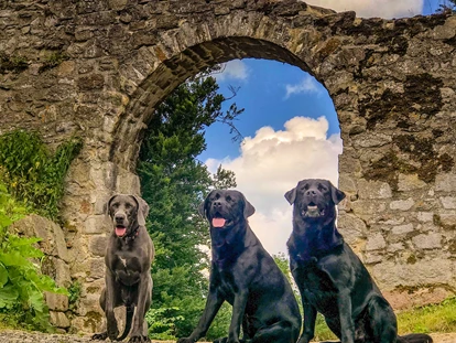Hundehotel - Pools: Schwimmteich - Natur-Hunde-Hotel Bergfried