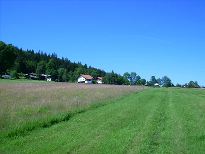 Hundehotel - Pools: Schwimmteich - Blick von der unteren Hundewiese Bärenhof zum Hotel - Hotel Bärenhof