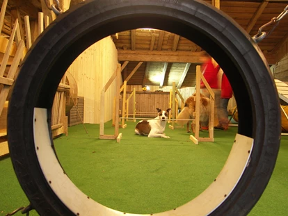 Hundehotel - Pools: Schwimmteich - Indoor-Halle Bärenhof - Hotel Bärenhof