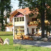 Hundehotel: Hotel Bärenhof