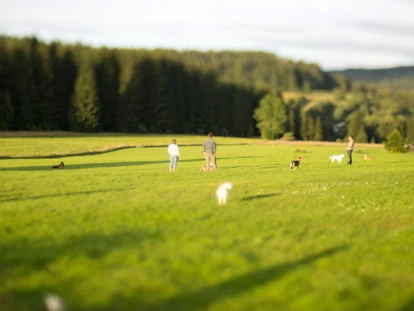 Hundehotel - Pools: Schwimmteich - Hotel Bärenhof
