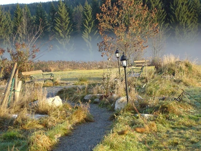 Hundehotel - Pools: Schwimmteich - Hotel Bärenhof