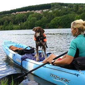 Urlaub-mit-Hund: Ferienhäuser Hundeparadies Eifel