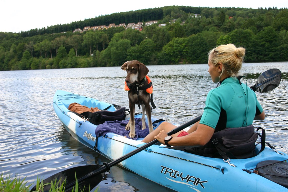 Urlaub-mit-Hund: Ferienhäuser Hundeparadies Eifel