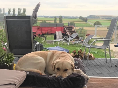 Hundehotel - Unterkunftsart: Hotel - Eifel - Wolfi, ein Gasthund, freut sich über die Hunde-Couch im Panorama-Pavillon des eingezäunten Gartens.  - Wellness-Ferienhaus Maifelder Uhlenhorst mit Privat-Spa - Sauna, In- Outdoor-Whirlpool