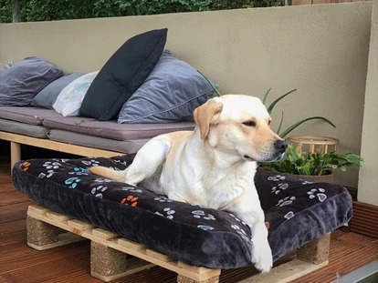 Hundehotel - Unterkunftsart: Hotel - Eifel - Wellness-Ferienhaus Maifelder Uhlenhorst mit Privat-Spa - Sauna, In- Outdoor-Whirlpool