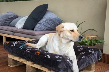 Urlaub-mit-Hund: Wellness-Ferienhaus Maifelder Uhlenhorst mit Spa