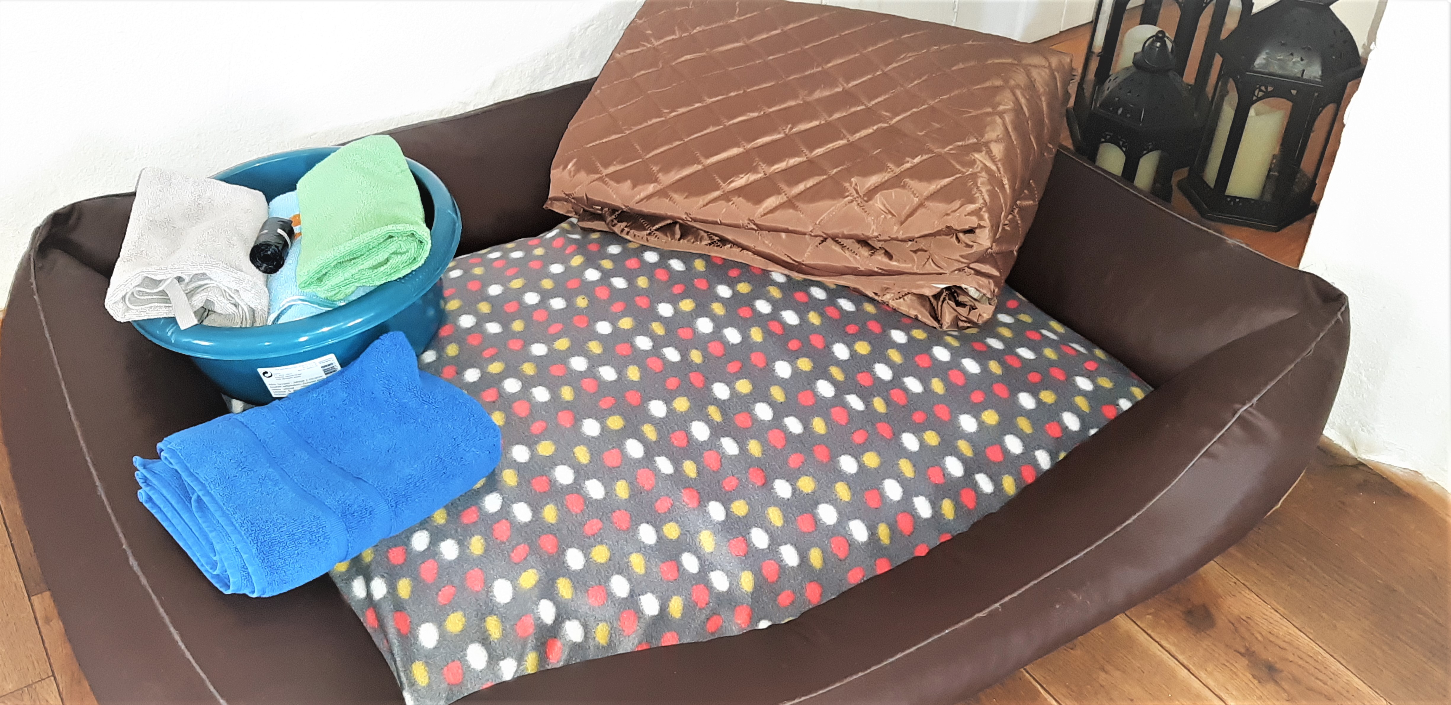 Urlaub-mit-Hund: Viele Sevice-Leistungen für Hunde. - Wellness-Ferienhaus Maifelder Uhlenhorst - Wo die Fellnase mit in dem Privat-Spa darf