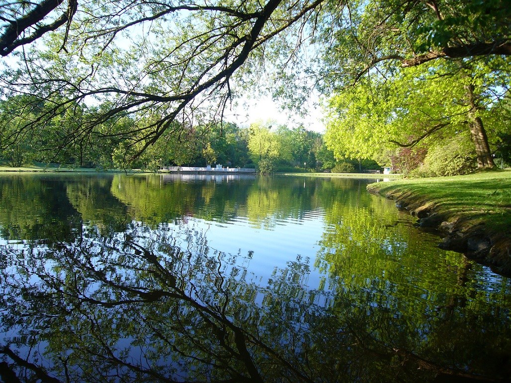 Kurvilla Fürstin Pauline Ausflüge mit Hund Bad Salzufler Landschaftsgarten