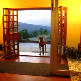 Urlaub-mit-Hund: Aussicht vom Hoteleingang - Hotel Rifugio Prategiano Maremma Toskana