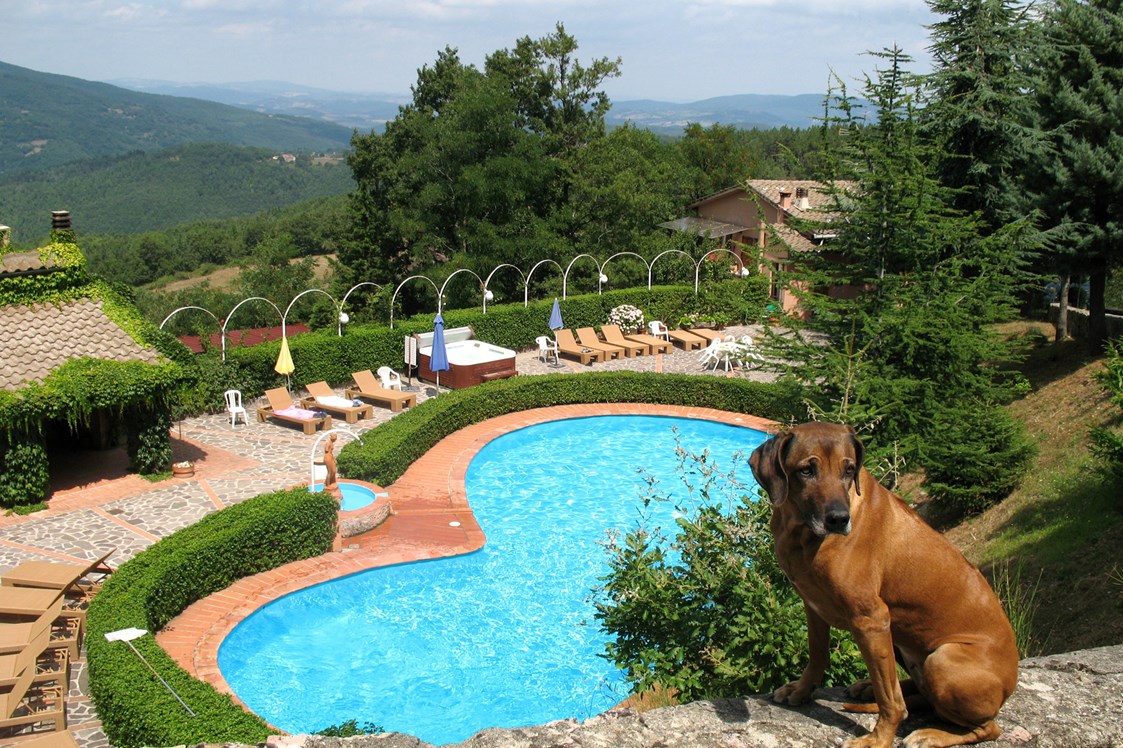 Urlaub-mit-Hund: Schwimmingpool - Hotel Rifugio Prategiano Maremma Toskana