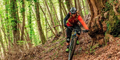 Hundehotel - WLAN - Toskana - Biketouren Maremma Toskana - Hotel Rifugio Prategiano Maremma Toskana