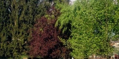 Hundehotel - Deutschnofen - Ein schöner Parkour damit der Vierbeiner auf den Pfoten bleibt. - Hotel Sport